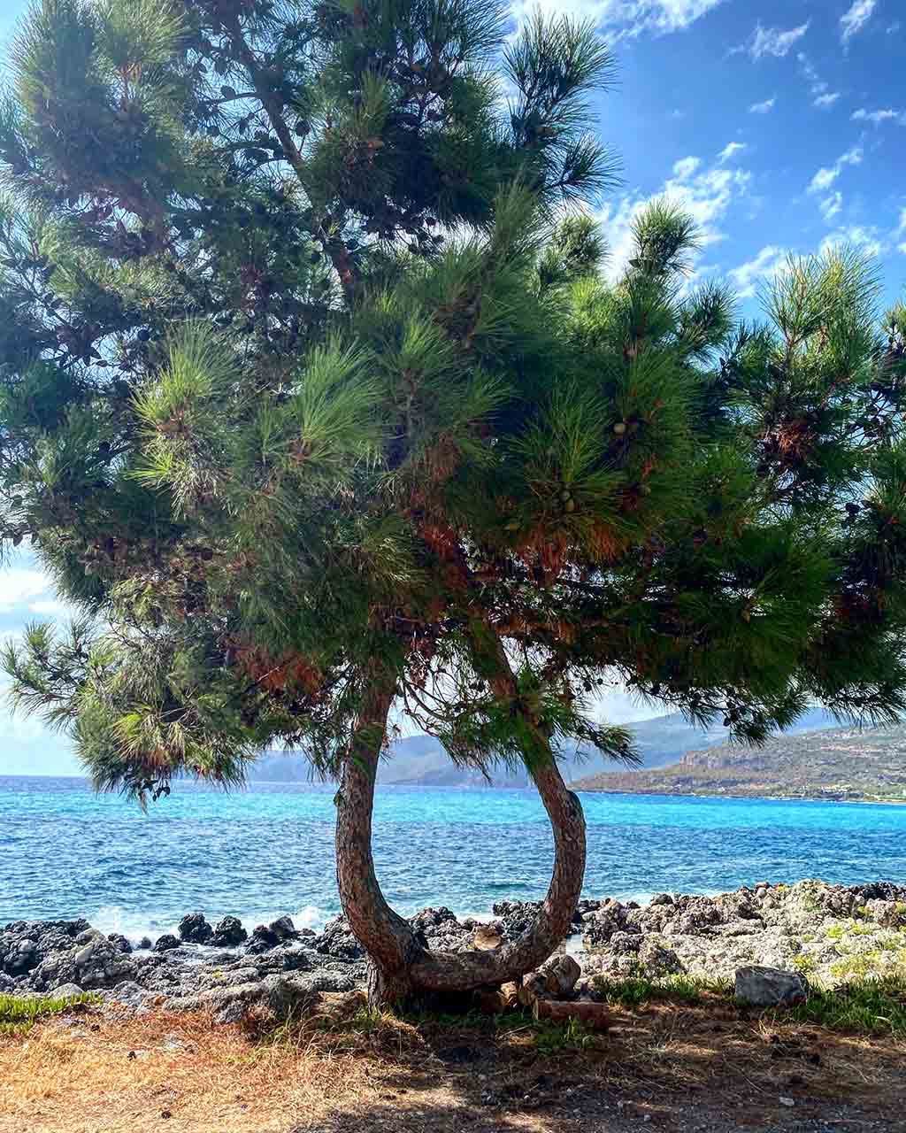 Καρδαμύλη, Μάνη