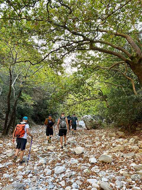 Σκηνές και αξιοθέατα στην Καρδαμύλη